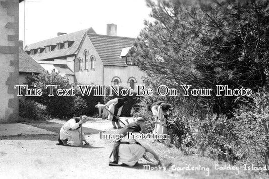 WL 2250 - Monks Gardening, Caldey Island Monastery, Wales