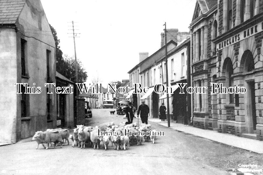 WL 2276 - Tregaron, Wales