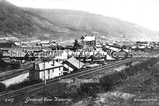 WL 2281 - General View Of Treorchy, Wales