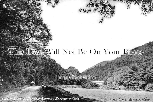 WL 2571 - Lledr Lane & Beaver Bridge, Betws Y Coed, Wales