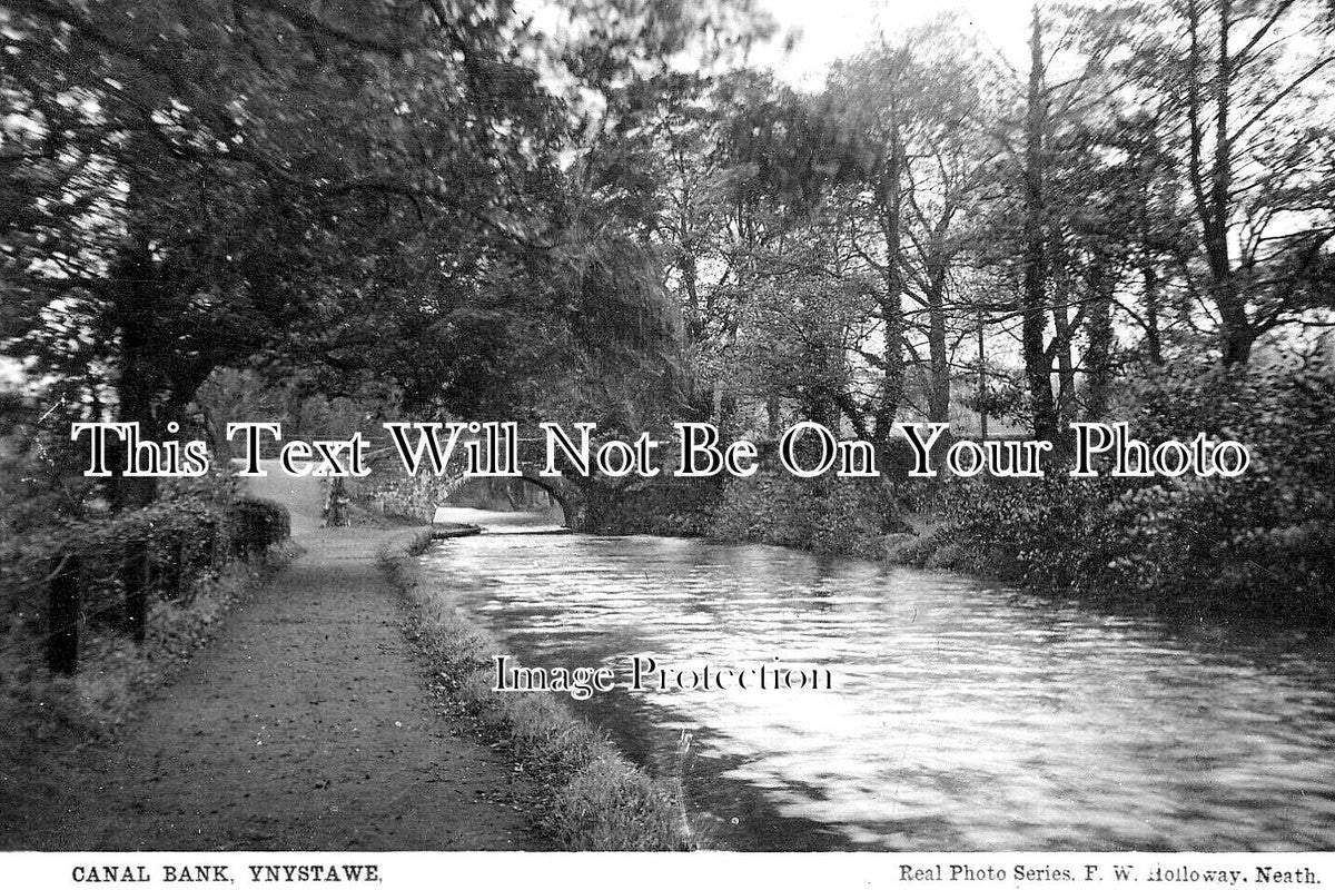 WL 2673 - Canal Bank, Ynystawe, Wales c1917