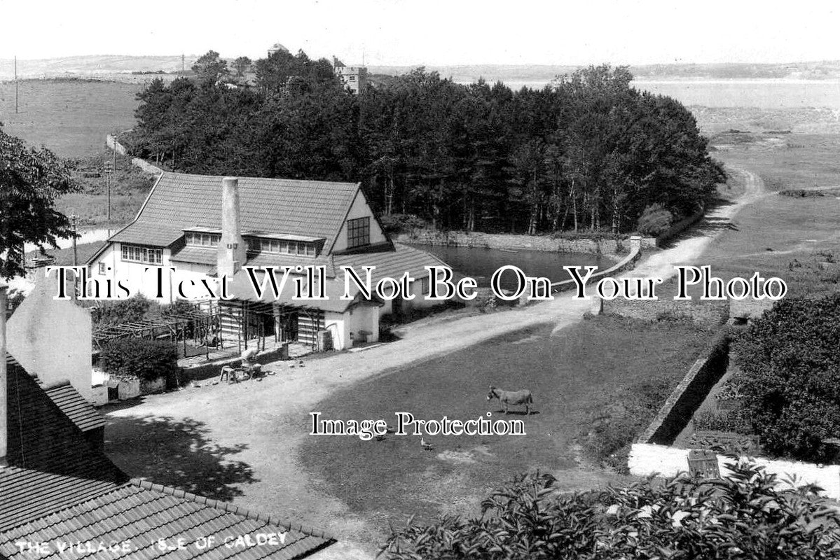 WL 2797 - Isle Of Caldey, Wales