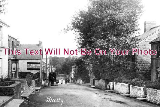WL 3005 - Sketty, Wales c1915