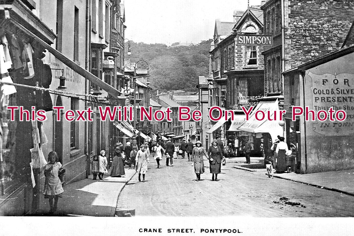 WL 3021 - Crane Street, Pontypool, Wales c1919