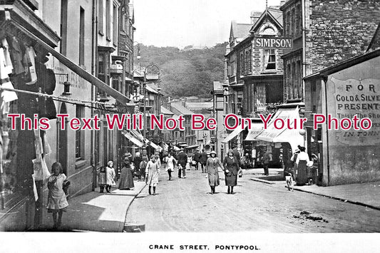 WL 3021 - Crane Street, Pontypool, Wales c1919