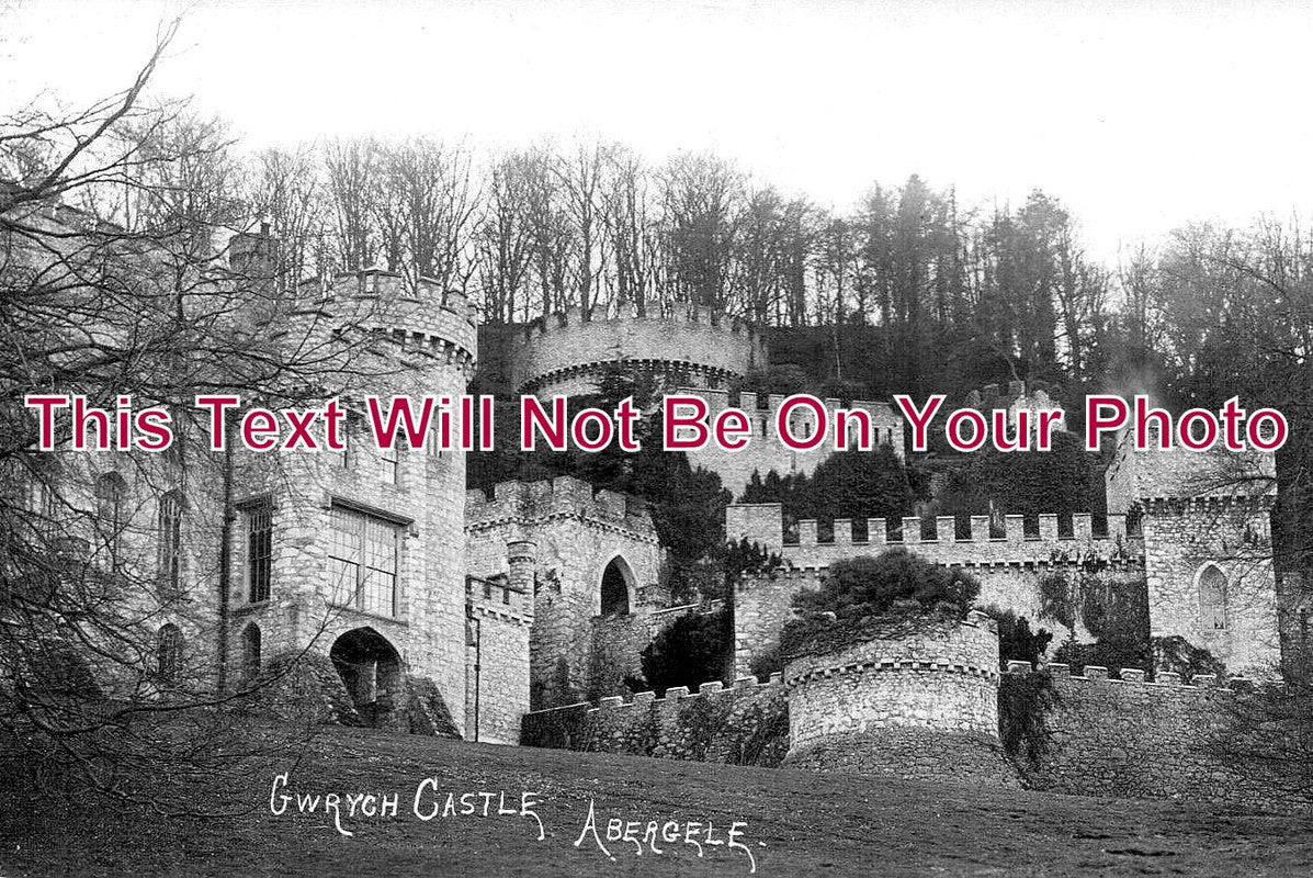 WL 3050 - Gwrych Castle, Abergele, Wales