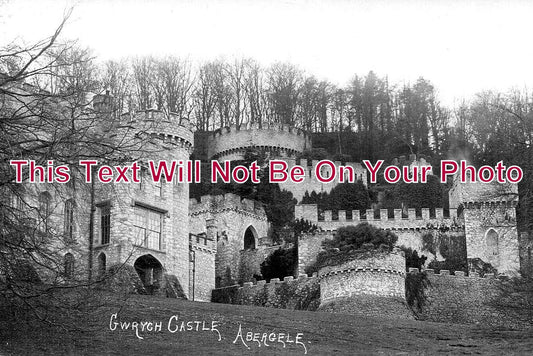 WL 3050 - Gwrych Castle, Abergele, Wales