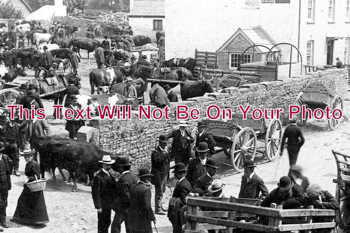 WL 3073 - Cattle Market, St Clears, Wales c1908