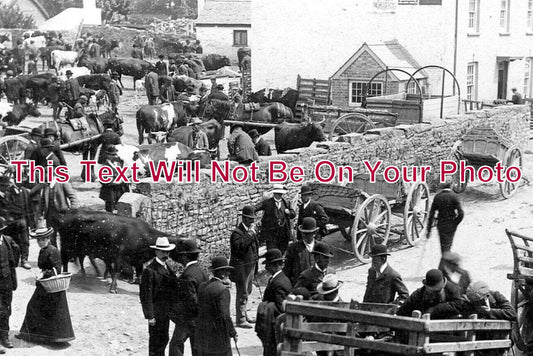 WL 3073 - Cattle Market, St Clears, Wales c1908