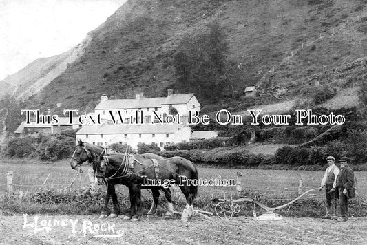 WL 3109 - Lloyney Rock Near Knighton, Wales