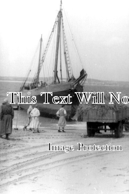 WL 444 - Caldey Island, Pembrokeshire, Wales