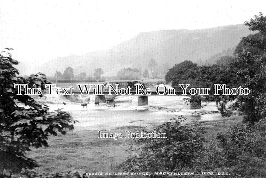 WL 561 - Corris Railway Bridge, Machynlleth, Wales