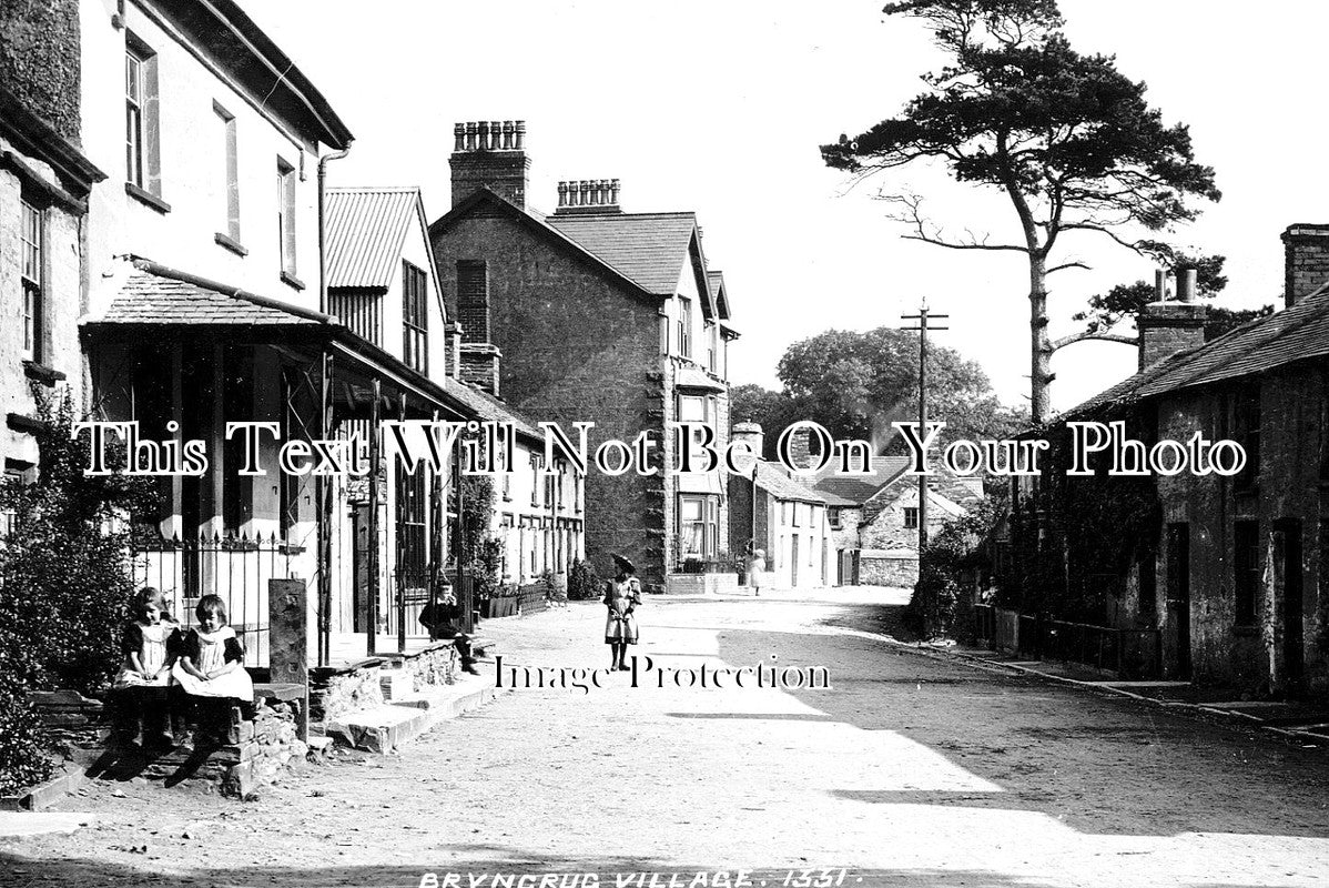 WL 768 - Bryncrug Village, Wales c1908
