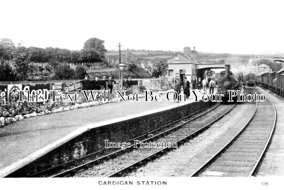 WL 8 - Cardigan Railway Station, Wales