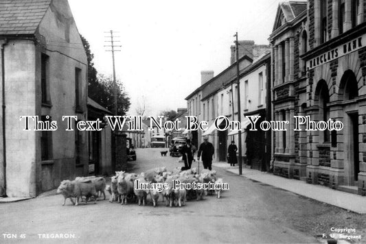 WL 818 - Tregaron, Wales