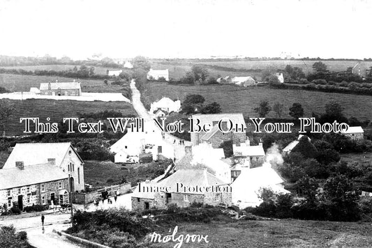 WL 894 - Moylegrove, Wales