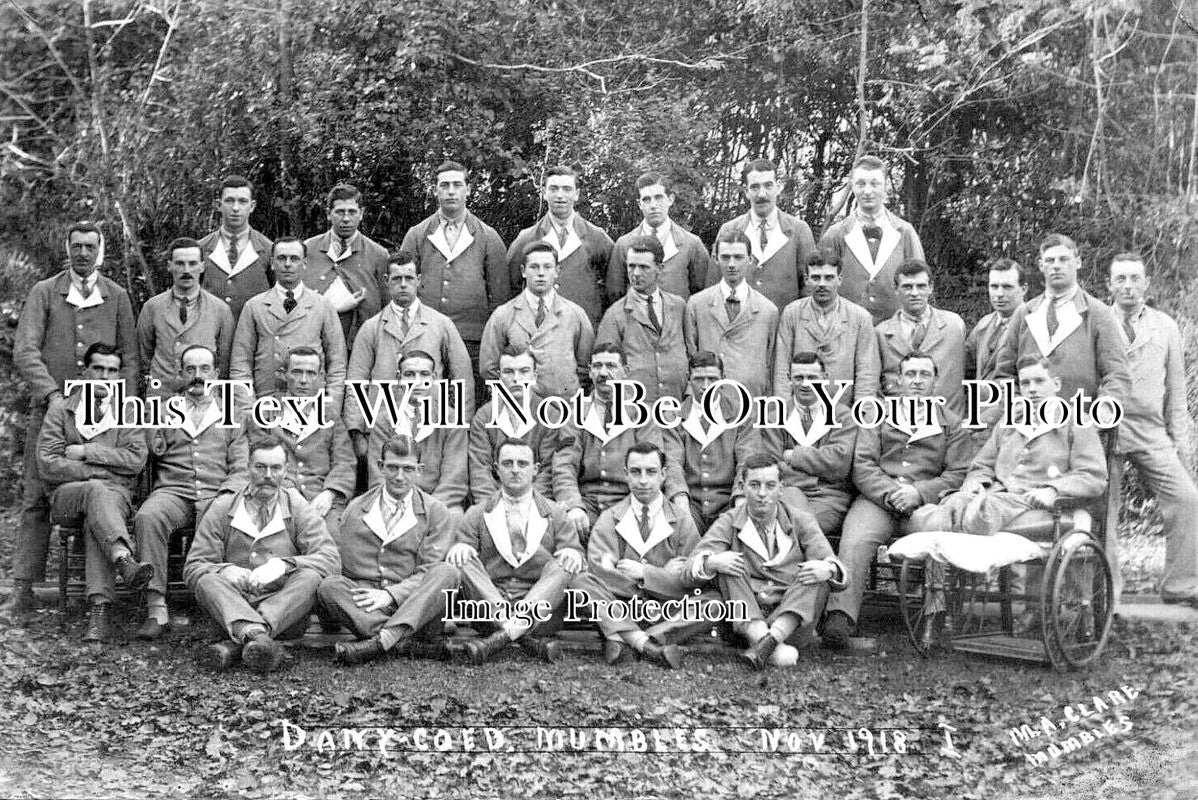 WL 901 - Dany Coed Mumbles, Military Hospital, Wales 1918