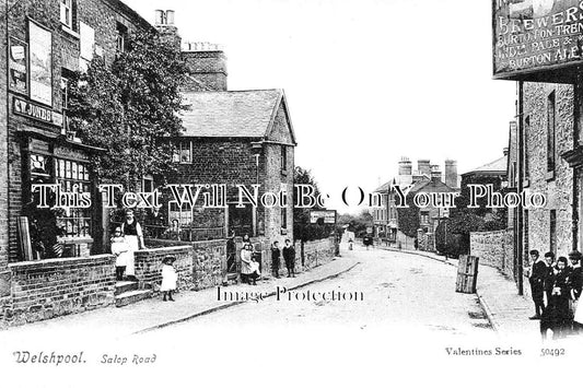WL 917 - Salop Road, Welshpool, Wales