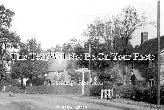 WO 1167 - Mustow Green, Wyre Forest, Worcestershire c1908