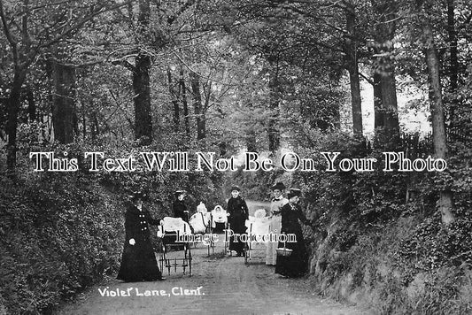 WO 1549 - Violet Lane, Clent, Worcestershire c1914