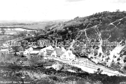 WO 1706 - Bilberry Hill Tea Rooms, Lickey Hills, Worcestershire c1906