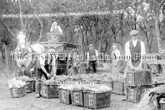 WO 577 - Packing Onions & Radishes For Market, Evesham, Worcestershire