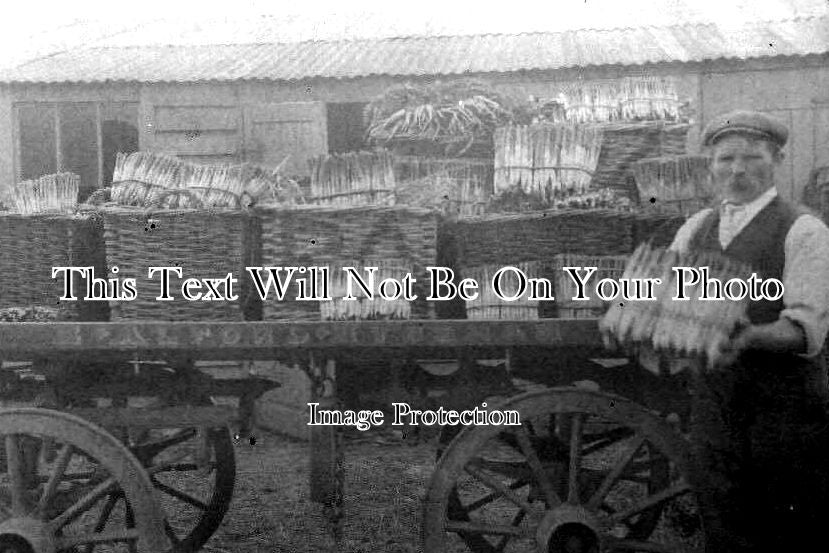 WO 646 - Asparagus Seller E. Alford, Evesham, Worcestershire