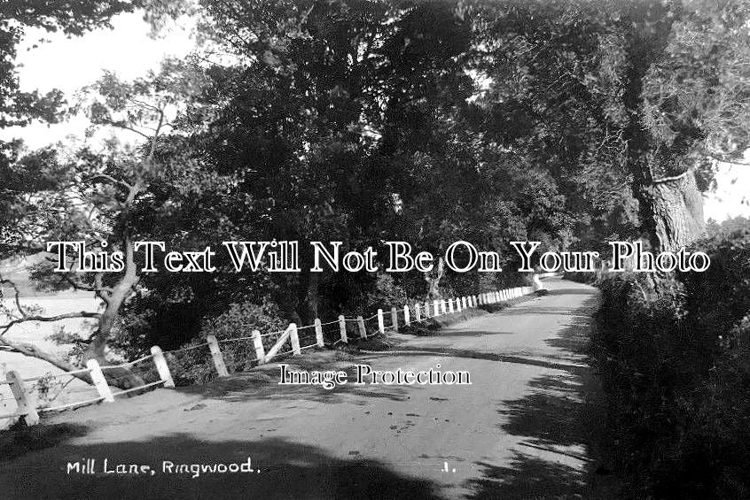 WO 687 - Mill Lane, New Forest, Ringwood, Worcestershire c1924