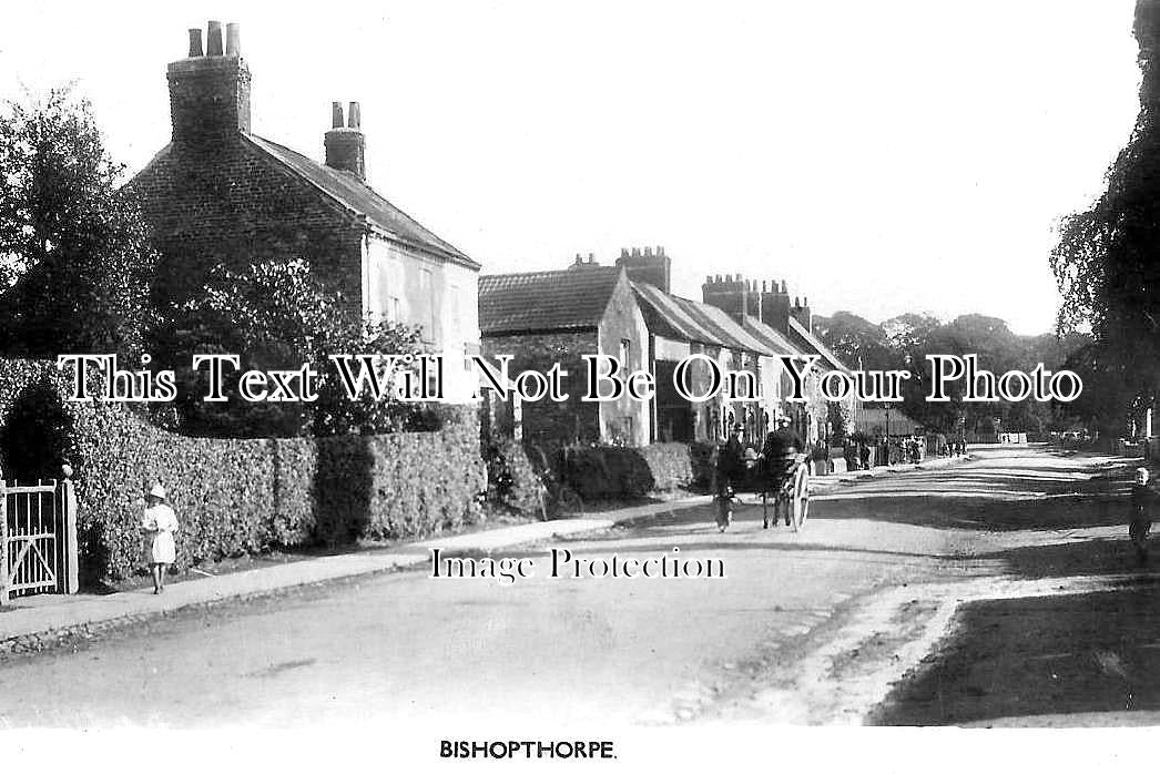 YO 10087 - Bishopthorne, York, Yorkshire