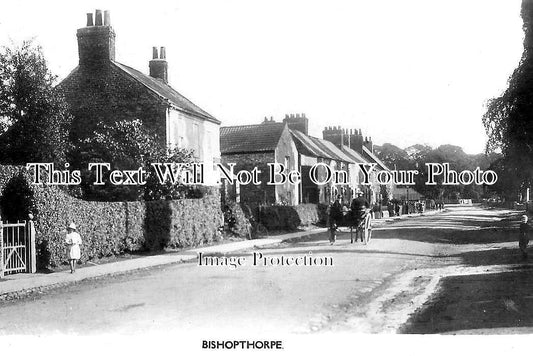 YO 10087 - Bishopthorne, York, Yorkshire
