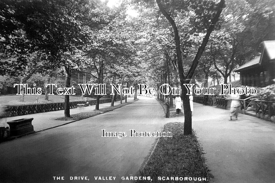 YO 10291 - The Drive, Valley Gardens, Scarborough, Yorkshire c1924
