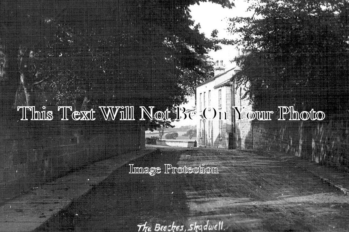 YO 10508 - The Beeches, Shadwell, Yorkshire