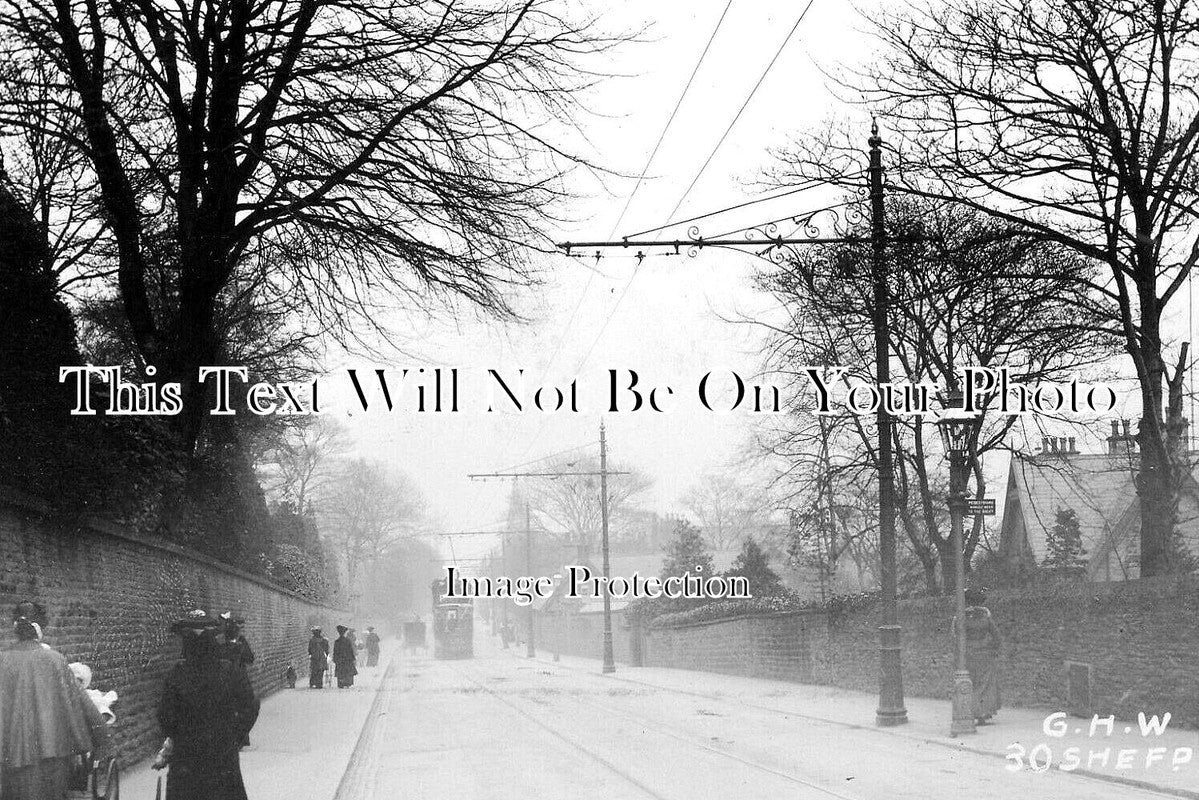 YO 10541 - Fulwood Road, Sheffield, Yorkshire c1904