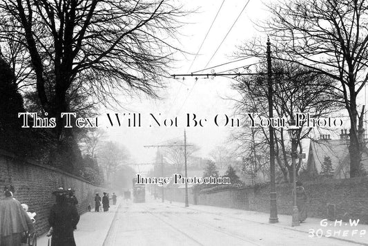 YO 10541 - Fulwood Road, Sheffield, Yorkshire c1904