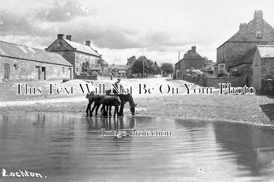 YO 10598 - Lockton, Yorkshire
