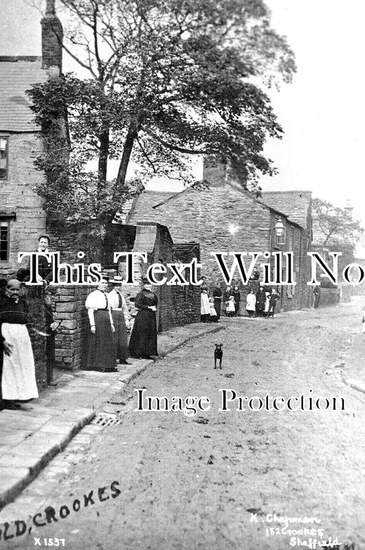 YO 10768 - Old Crookes, Sheffield, Yorkshire