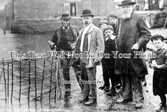 YO 1107 - Penny Hedge, Whitby, Yorkshire c1910