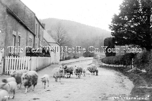 YO 11164 - Wass, Yorkshire