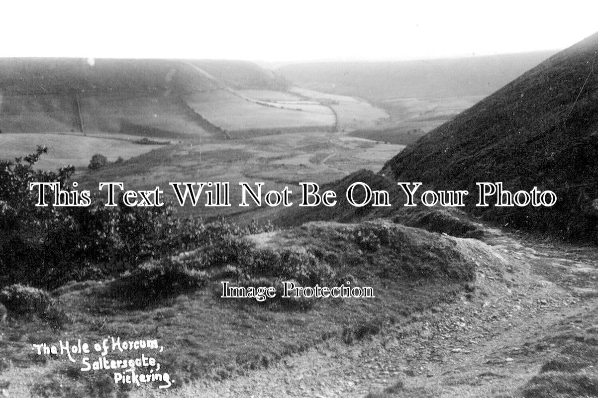 YO 11166 - The Hole Of Horcum, Saltersgate, Pickering, Yorkshire