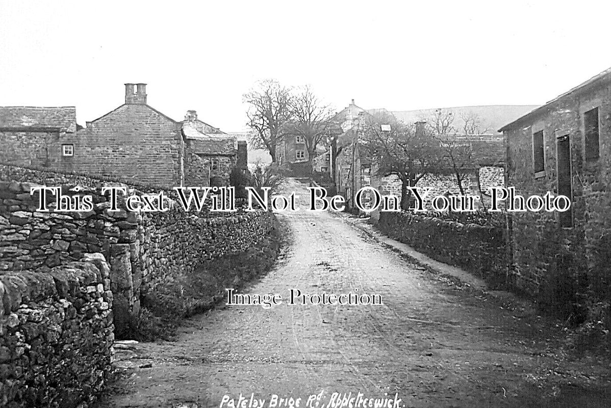 YO 11187 - Pateley Bridge Road, Appletreewick, Yorkshire c1910