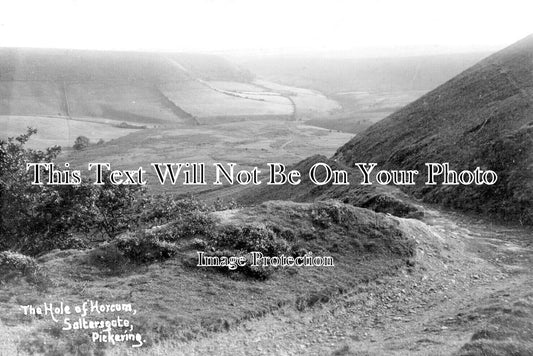YO 11632 - The Hole Of Horcum, Saltersgate, Pickering, Yorkshire c1912