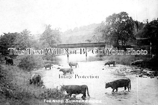 YO 12345 - The Nidd, Summerbridge, Yorkshire