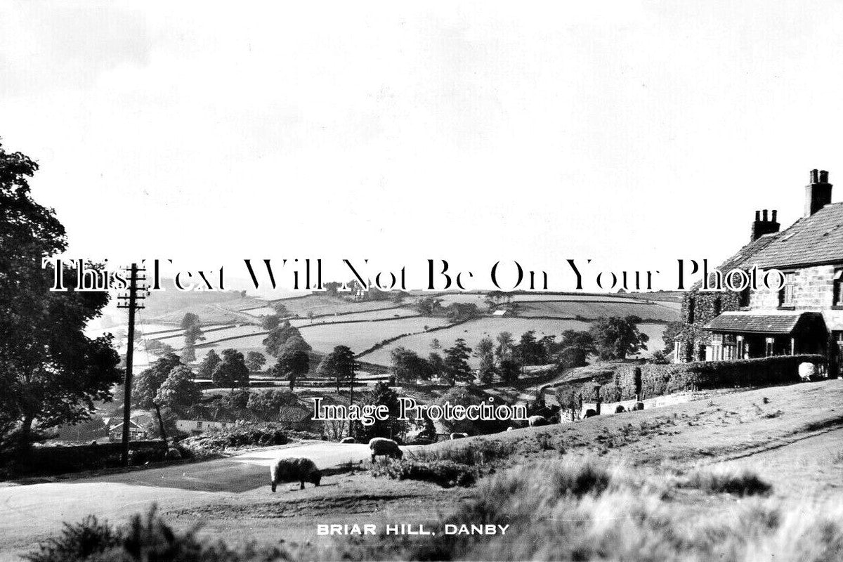 YO 12370 - Briar Hill, Danby, Yorkshire