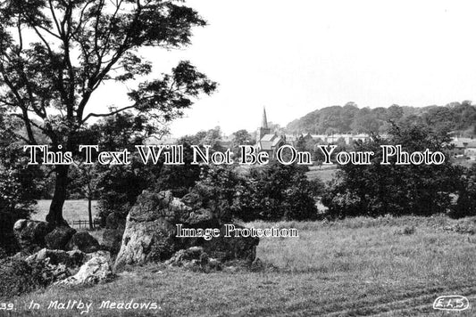 YO 12371 - Maltby Meadows, Rotherham, Yorkshire