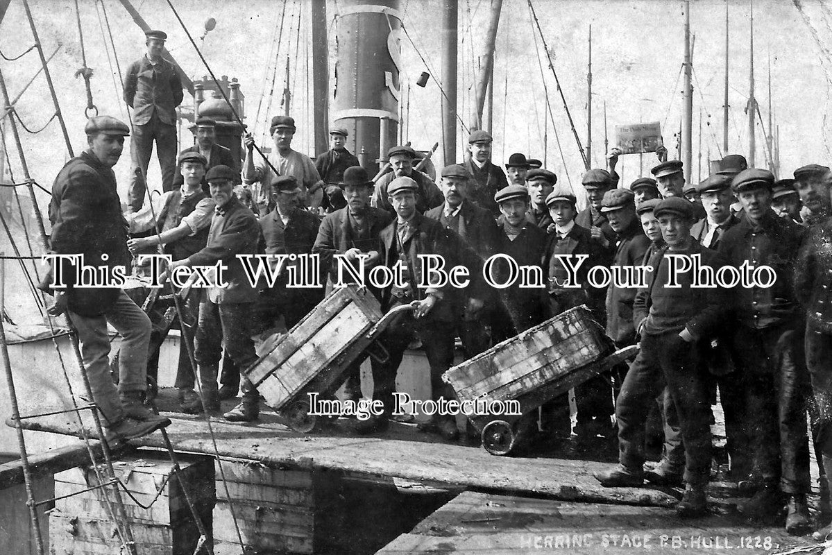 YO 1238 - The Herring Stage At Hull, East Yorkshire