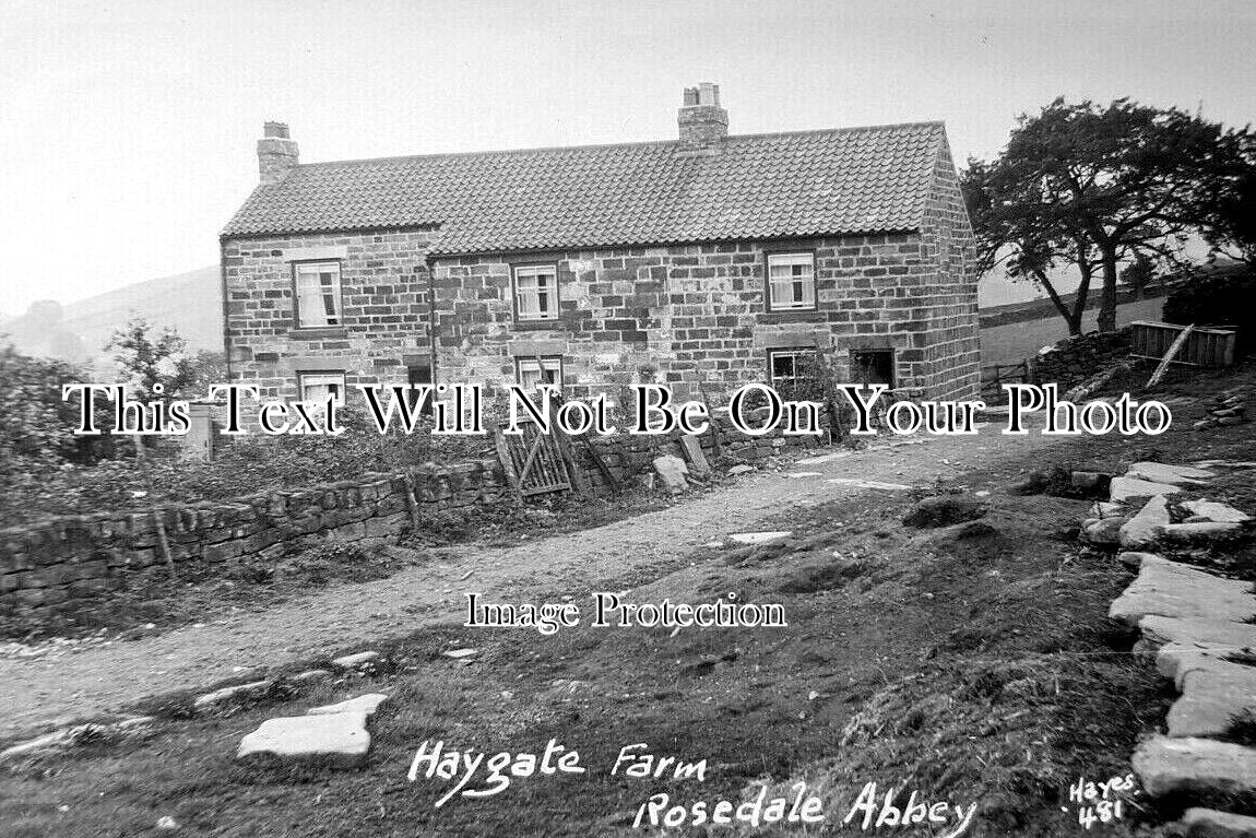 YO 12906 - Haygate Farm, Rosedale Abbey, Yorkshire