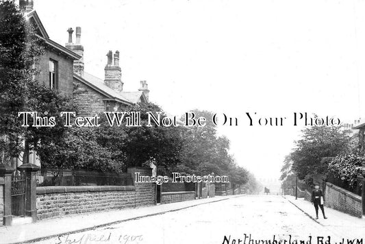 YO 12927 - Northumberland Road, Sheffield, Yorkshire