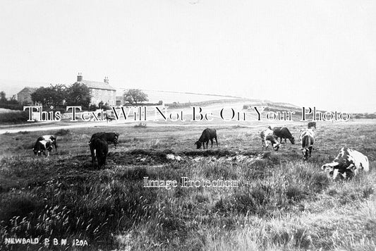 YO 12996 - Newbald Village, Yorkshire c1905