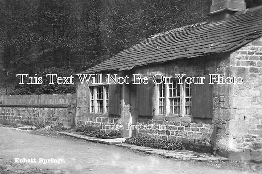 YO 13271 - Esholt Springs, Yorkshire c1916