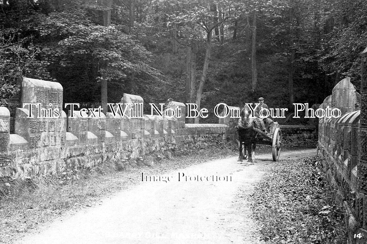 YO 13309 - Quarry Gill, Masham, Yorkshire c1915